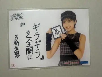 유미게타 슈킨 할로콘 2026 컬렉션 브로마이드