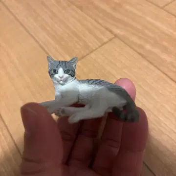 모리구치 슈의 고양이 피규어 마스코트 신색 가챠 사바토라 화이트