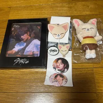 straykids 아이엔 I.N skzoo FoxI.Ny 백참