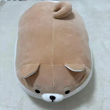 시바견 봉제 인형 원형