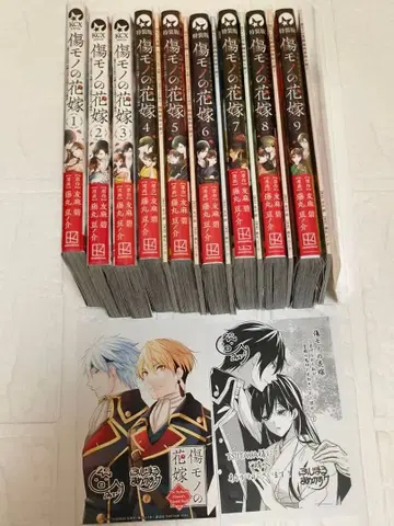 상처투성이 신부 1~9 특장판