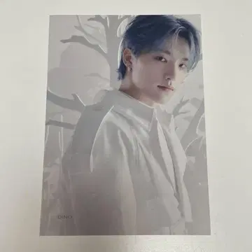 seventeen 세부치 디노 아이노치카라 타워 레코드 플라이어