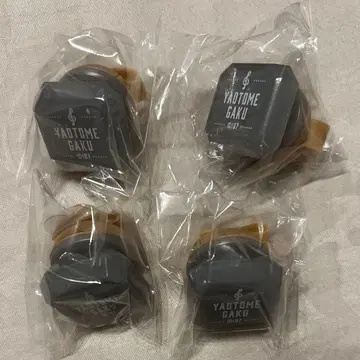 아이나나 TRIGGER 야오토메 가쿠 락 린 라이트 링 라이트