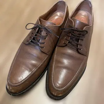 [새상품급] 스코치 그레인 25.5cm 브라운 가죽 비즈니스 슈즈