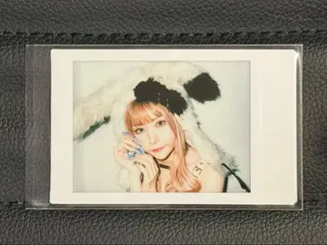 센리츠 카나노 폴라로이드