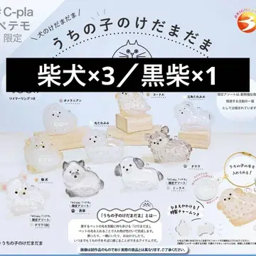 [ 새상품 미사용 ] 우리 집 강아지 털뭉치 시바견 블랙 4개