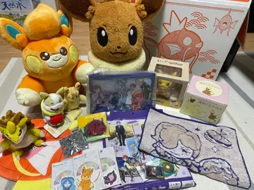 피카피카 박스 2026 포켓몬 센터 온라인