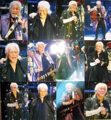 안전지대 타마키 코지 사진 48장