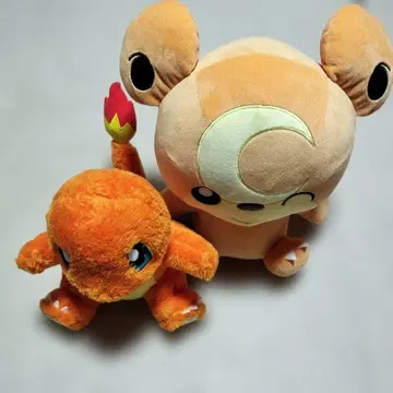 파이리 와 곰돌본의 봉제 인형 세트