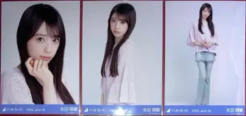 노기자카46 야타 모에카 브로마이드 컴프 메쉬 니트