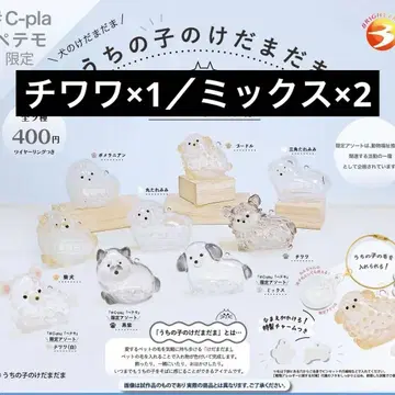 [ 새상품 미사용 ] 우리 아이 털뭉치 치와와 믹스 3개