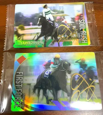 서러브레드 호스 컬렉션 3R 단노 타이세이 서울 러쉬 사인