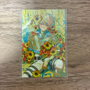 니지산지 히바치 마나 노스탤지어 컬렉션