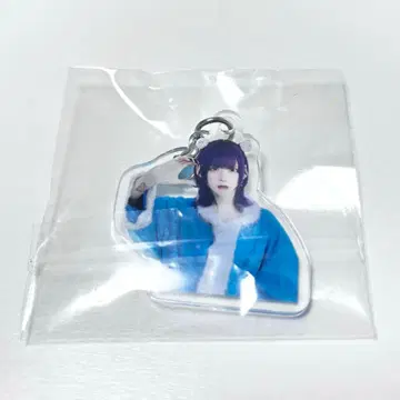 러브식 하야테 크리스마스