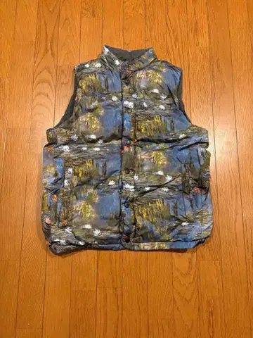 그라니프 다운 베스트 리버서블 회화 패턴 M