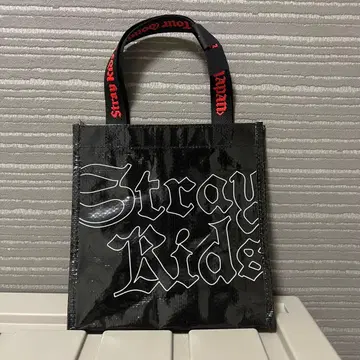 Stray Kids 스키즈 런치백 업그레이드