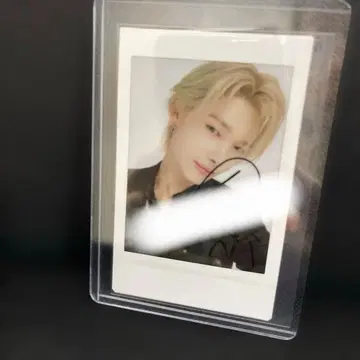 친필 사인 폴라로이드 사진