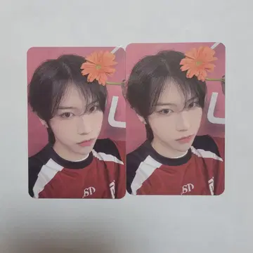 보이플라 홈 레이스 트레이딩 카드 KUJI 빈파 시에빈파