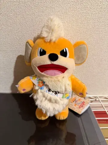 포켓몬 물산전 가디 로컬Acts