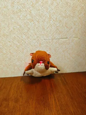 [ 다카오잔 한정판 ] 하늘다람쥐 봉제 인형 키링 포함 새상품에 가까움