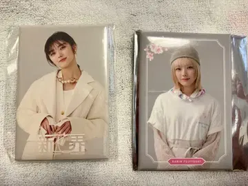 후지요시 카린 마그넷