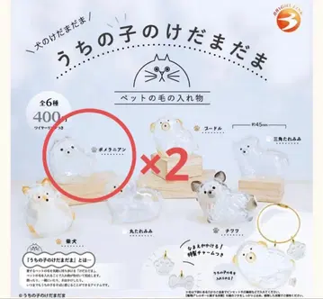 우리 아이 털뭉치 강아지 털뭉치 가챠가챠 포메라니안