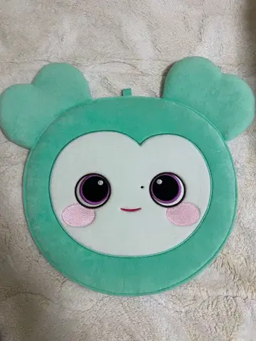 TWICE 미나 부채 커버/부채 세트