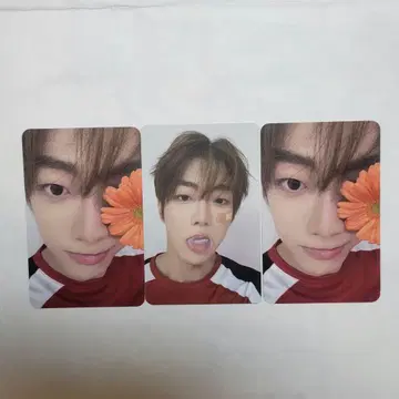 보이플라 홈 레이스 트레이딩 카드 KUJI 츄월 안츄월