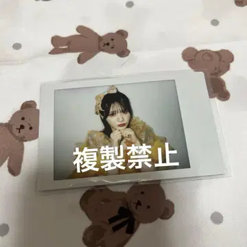 진제이 스즈카 오스즈 FRUITS ZIPPER 후루파 폴라로이드