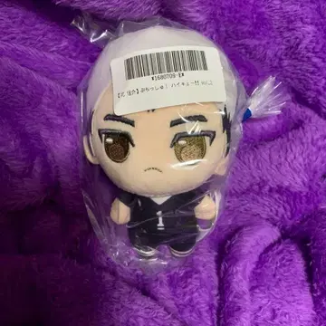 푸칫슈! 하이큐!! vol.2 키타 신스케 봉제 인형