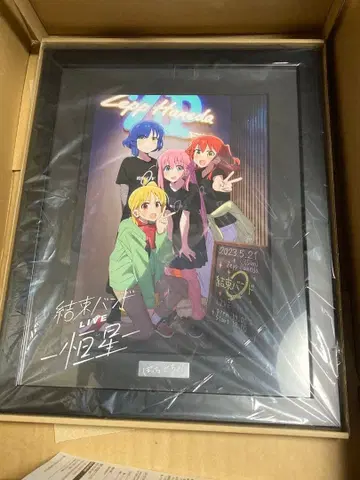 [ 새상품 미전시품 ] 봇치 더 록! 항성 캐릭터 파인그래프 (A4)