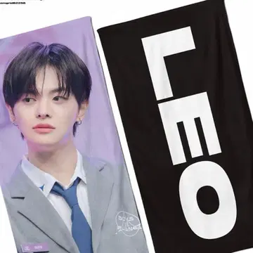 ald1 LEO 보이플라자2 천 슬로건 마스터 홈마 굿즈