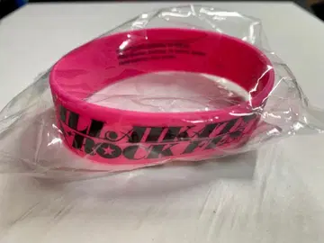 ALL AIKATSU! ROCK FES. 러버 밴드