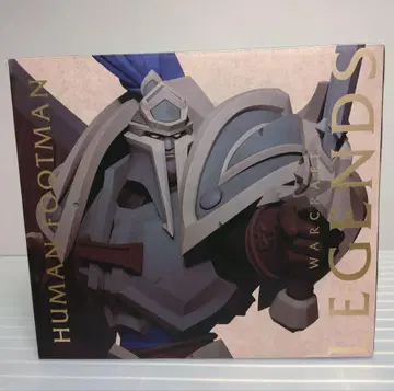 Warcraft Legends Human Footman Figure