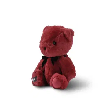 theGazettE BIG 베어