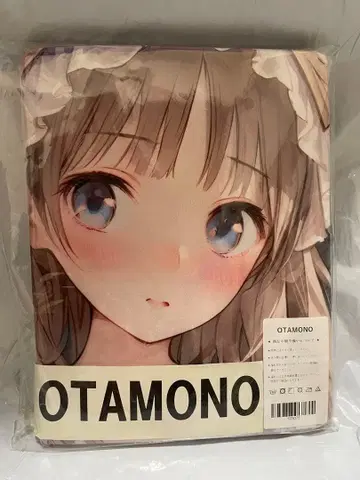 78375 아틀리에 토토리