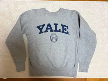 Champion Yale University 맨투맨 M 그레이