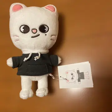 straykids 스키즈 현진 지니렛