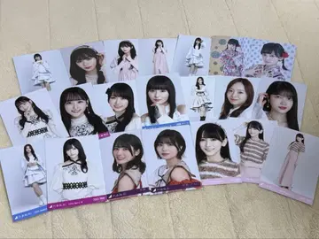 노기자카 생사진 21장 묶음 판매