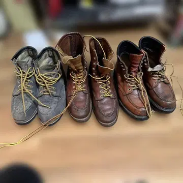 레드윙 3종 세트