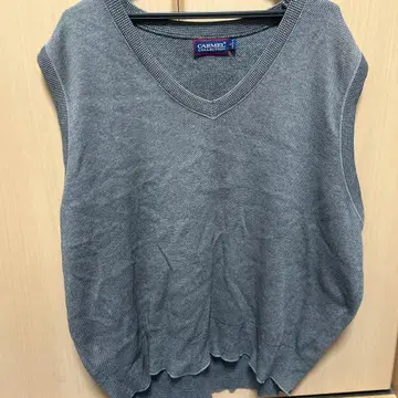 CARMEL COLLECTION 그레이 V넥 베스트 L 사이즈
