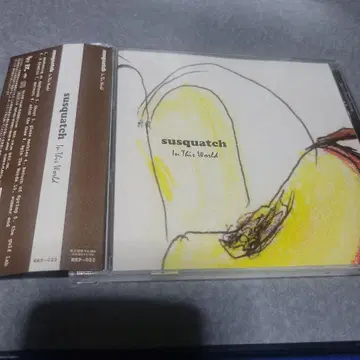 In This World susquatch CD