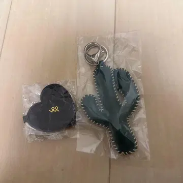 쿠사카와 타쿠야 shikake 선인장과 하트형 키링 세트