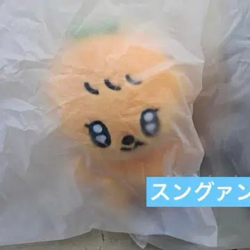 SEVENTEEN MINITEEN 푸규리 봉제 인형 플러쉬 토이