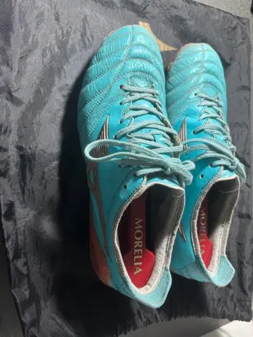 모렐리아 네오 3 JAPAN 카타르 W컵 한정 컬러 25.5cm