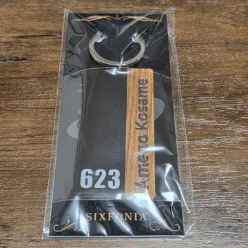 아메노 코사메 룸 키링