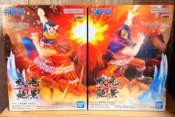 전광절경 브로기 도리 피규어 2체 세트 원피스