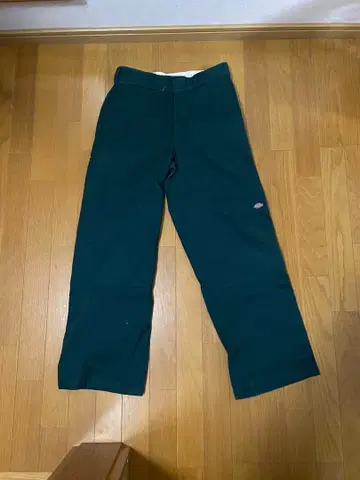 디키즈 더블니 그린