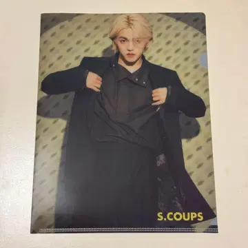 [ SEVENTEEN ] My Choice is 렌티큘러 클리어 파일