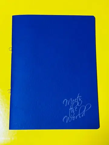 영화 미츠 더 월드 팜플렛